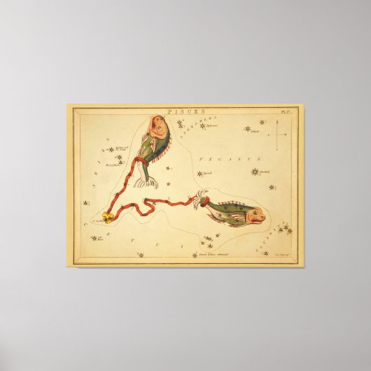 魚の魚座 – ヴィンテージ画像の〔占星術の〕十二宮図記号 キャンバスプリント (正面)