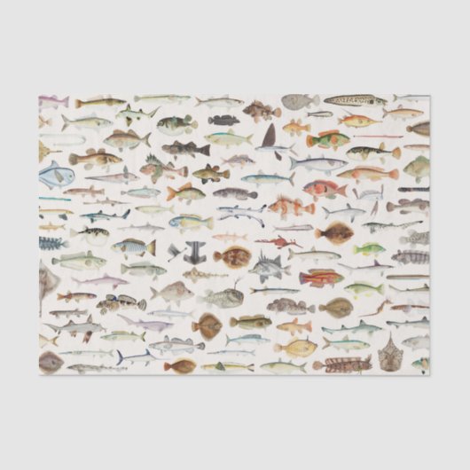 魚の魚釣り誕生日パーティー 薄葉紙 (正面)