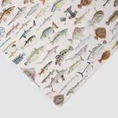 魚の魚釣り誕生日パーティー 薄葉紙 (詳細)