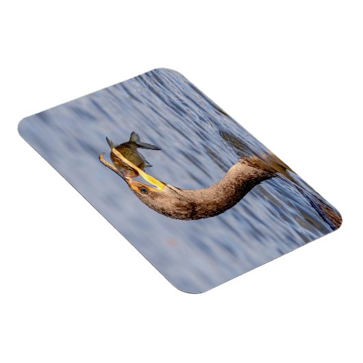 魚の鵜 マグネット (右側)