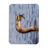 魚の鵜 マグネット (縦)