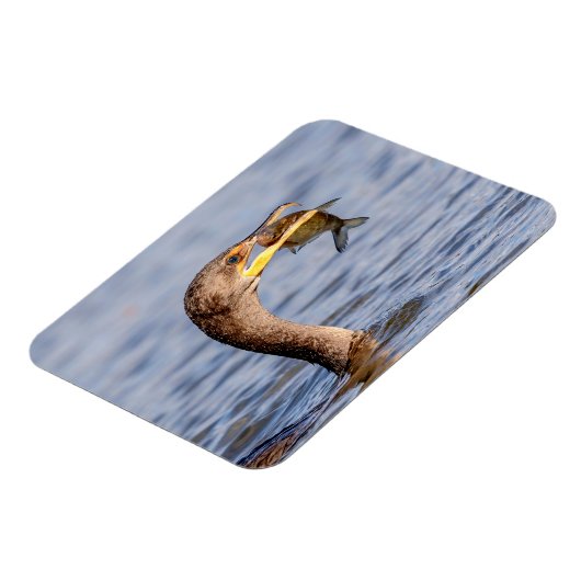 魚の鵜 マグネット (左側)