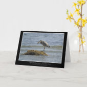 魚の~の挨拶状を食べている青い鷲 カード (黄色い花)