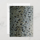 魚はかりで測2 ポストカード (正面/裏面)