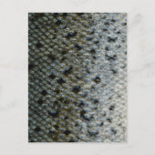 魚はかりで測2 ポストカード (正面)