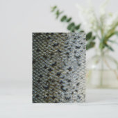 魚はかりで測2 ポストカード (スタンド正面)