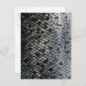 魚はかりで測 ポストカード (正面/裏面)