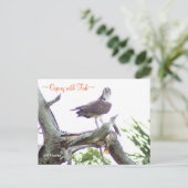 魚はがき付きオスプレイ ポストカード (スタンド正面)