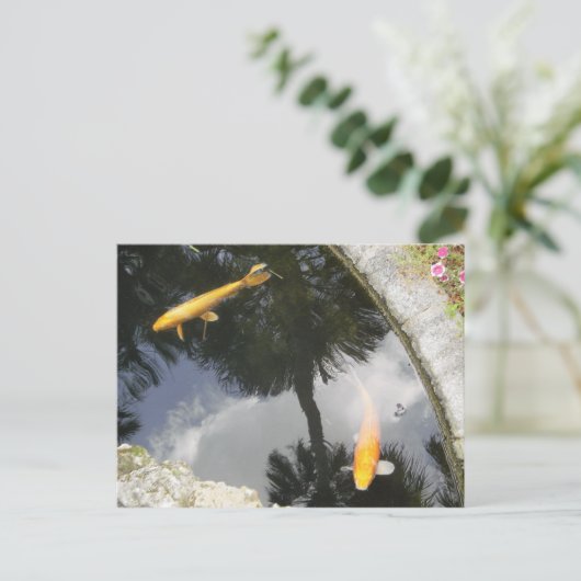 魚はがき ポストカード (スタンド正面)