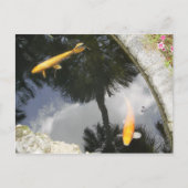 魚はがき ポストカード (正面)