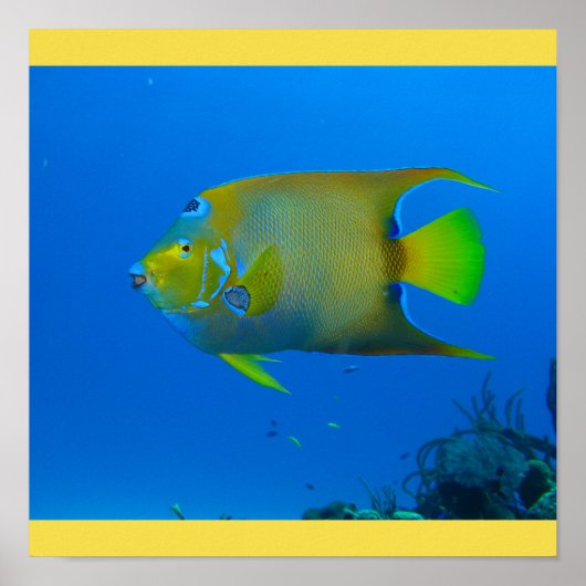 魚はホームフィンを泳ぐ運命のパーソナライズ ポスター (正面)