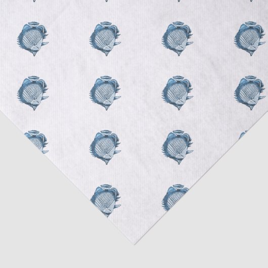 魚は航海のな沿岸海の海の青を浜に引き上げます 薄葉紙 (詳細)