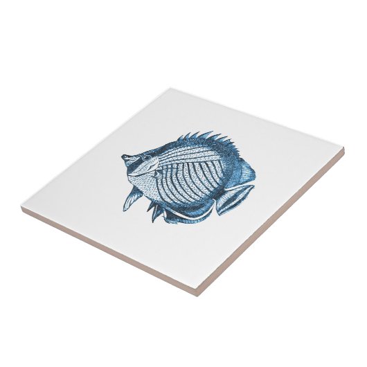 魚は航海のな海の沿岸海の青を浜に引き上げます タイル (側面)