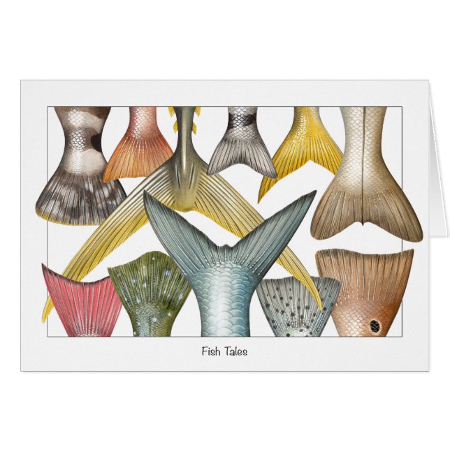 魚は(物語)カードの後につきます (正面横)