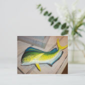 魚をイルカにする（哺乳動物ではない） ポストカード (スタンド正面)