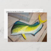 魚をイルカにする（哺乳動物ではない） ポストカード (正面/裏面)