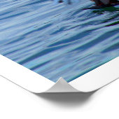 魚を捕まえるペリカン ポスター (角)