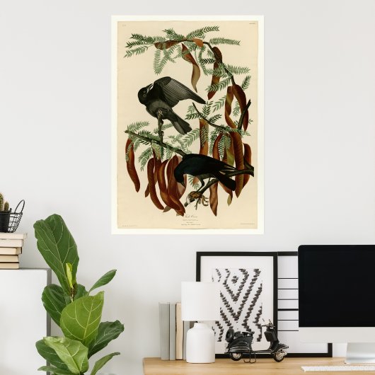 魚カラス ポスター (ホームオフィス)