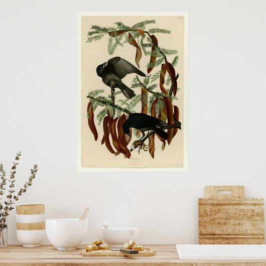 魚カラス ポスター (キッチン)