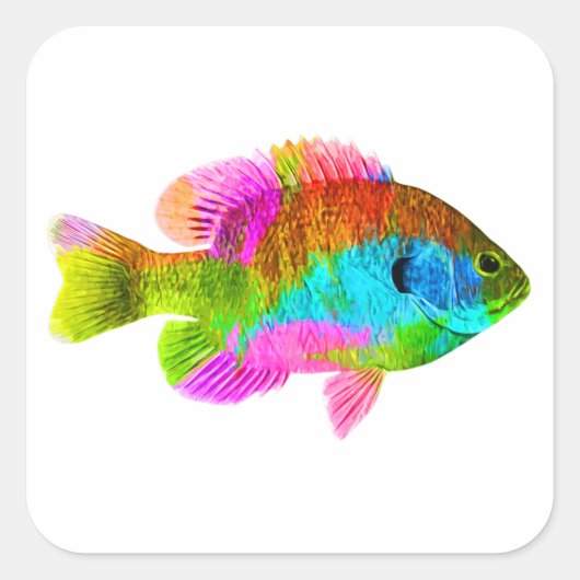 魚カラフルの四角シール スクエアシール (正面)
