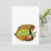 魚カラフルサンキューカード サンキューカード (スタンド正面)