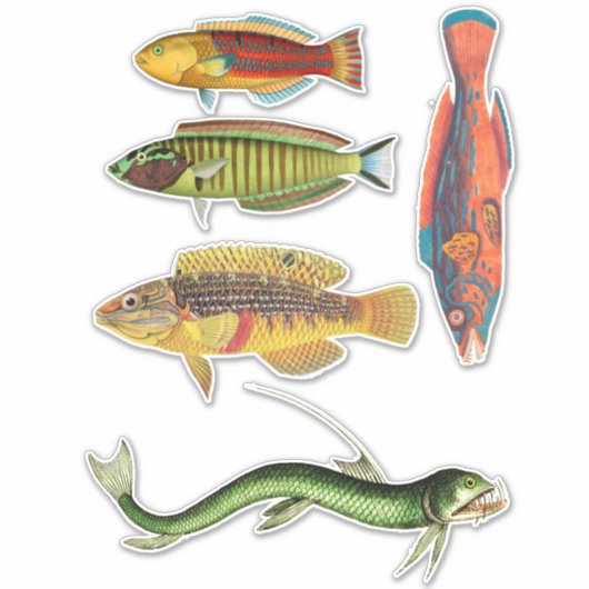 魚カラフル芸術自然海動物 シール (正面)