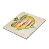 魚カラフル タイル (側面)