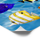 魚カラフル ポスター (コーナー)