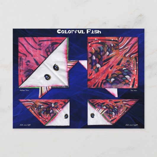 魚カラフル ポストカード (正面)
