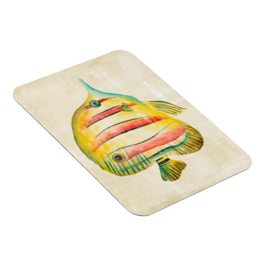 魚カラフル マグネット (右側)