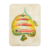 魚カラフル マグネット (縦)