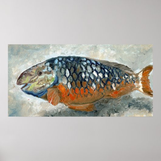 魚カリブののオレンジと青 ポスター (正面)