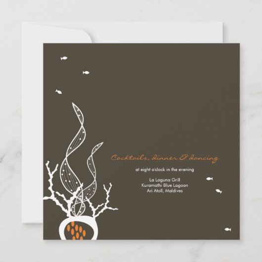 魚キスをするのサンゴのビーチお洒落キュイ結婚ズ 招待状 (裏面)