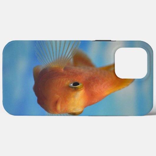魚ケース – メイトiPhoneケース Case-Mate iPhoneケース (裏面 (横))