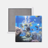 魚タンク磁石 マグネット (正面/裏面)