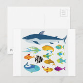 魚デザイン ポストカード (正面/裏面)