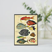 魚プリント ポストカード (スタンド正面)