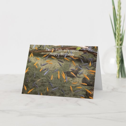 魚ユーモアのある誕生日カード カード (正面)