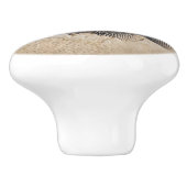 魚化石写真 セラミックノブ (側面)