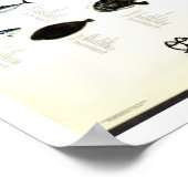 魚地中海のヴィンテージRepro。プリント ポスター (角)