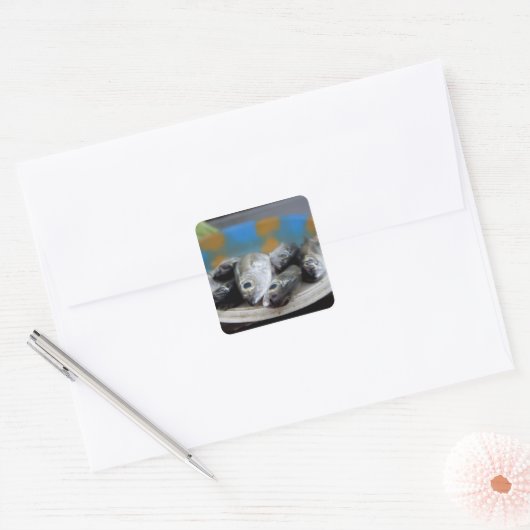 魚市場の新鮮な魚メルカド・デ・パイクス)、 スクエアシール (封筒)