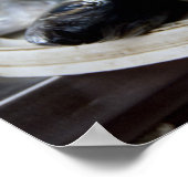 魚市場の新鮮な魚メルカド・デ・パイクス)、 ポスター (角)