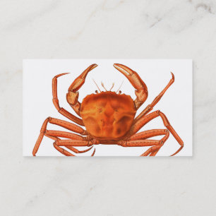 魚市場名刺 – Red Crab 名刺