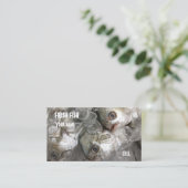 魚市場 名刺 (スタンド正面)