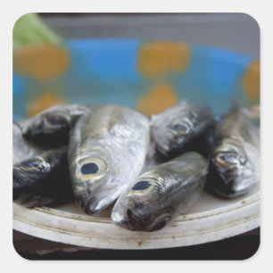 魚市場(Mercado de Peixe)の新鮮な魚 スクエアシール
