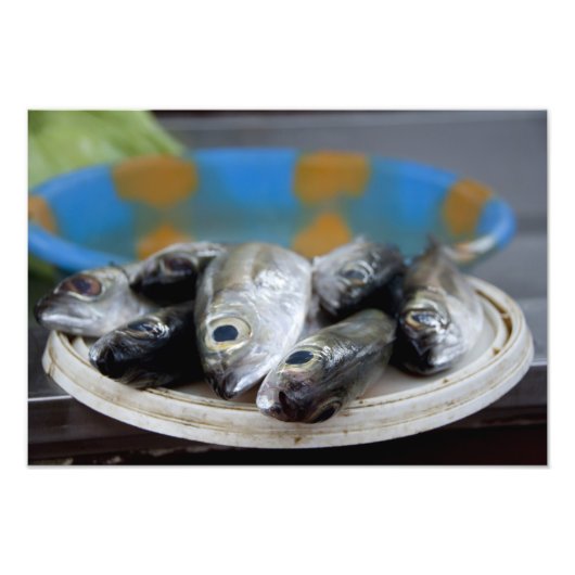 魚市場(Mercado de Peixe)の新鮮な魚 フォトプリント (正面)