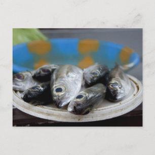魚市場(Mercado de Peixe)の新鮮な魚 ポストカード