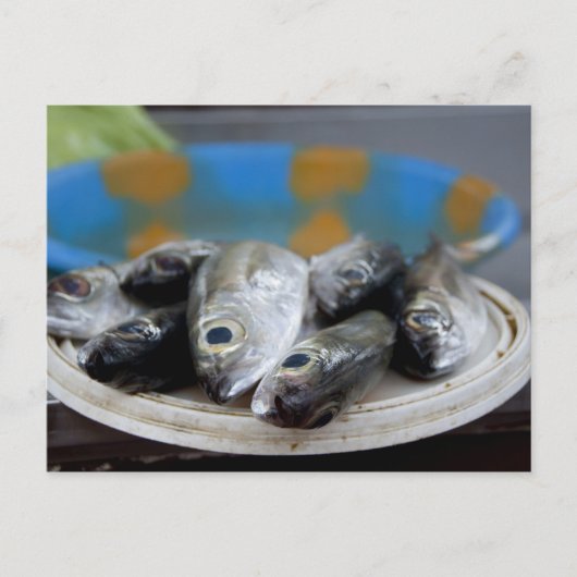 魚市場（Mercado de Peixe）の新鮮な魚 ポストカード (正面)