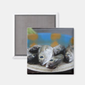 魚市場(Mercado de Peixe)の新鮮な魚 マグネット (正面/裏面)
