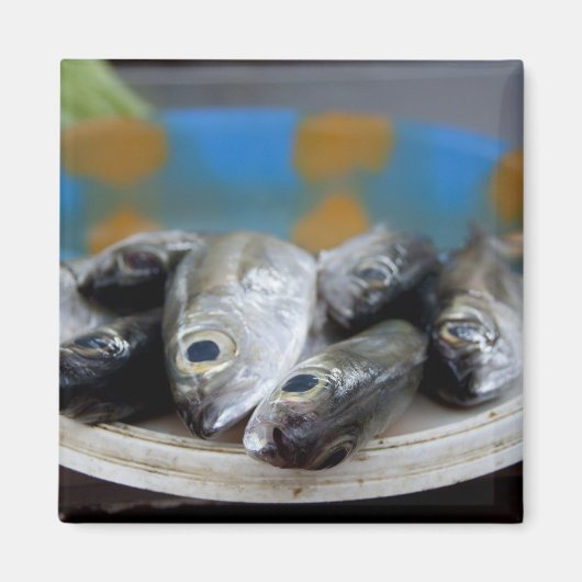 魚市場(Mercado de Peixe)の新鮮な魚 マグネット (正面)